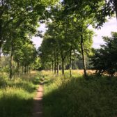 Beheerplan Krabbebossen en Vloeiweide