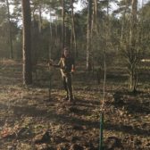 Klimaatbestendige bosverjonging