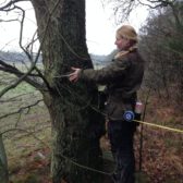 Woodstock inventarisatie Bergeijk