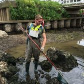 Afvissen vistrap Belfeld