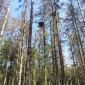 Gedragscode Bosbeheer Bosgroep Zuid Nederland