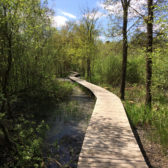 Natuurherstel Baronie Cranendonck