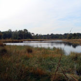 Versterken vennen Vresselsbos