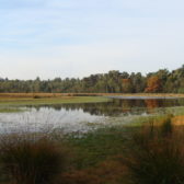 Venherstel Klotterpeel