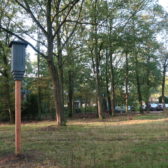 Vleermuispalen TU Eindhoven