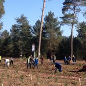 Natuurbeheer gemeente Gemert-Bakel