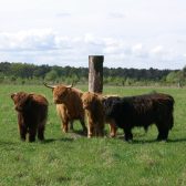 Natuurbeheer gemeente Cranendonck