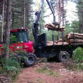 Houtoogstbegeleiding Defensie