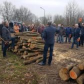 Brandhoutveiling Bergeijk 2019