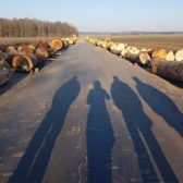 Minisymposium kwaliteitshout