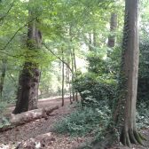 Bosbeheerplan gemeente Heerlen