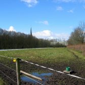 Natuurcompensatieplan Haaren