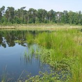 Herstel langven Best