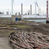 Broedvrij houden Beerdam/Hudsonhaven