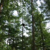 Gedragscode Bosbeheer gemeentebossen Landerd