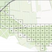 Bosstructuurkartering Wijffelterbroek