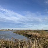 Planvoorbereiding Haringvliet Natura 2000